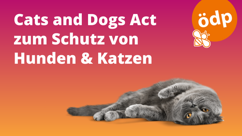 Cats and Dogs Act Cats and Dogs Act