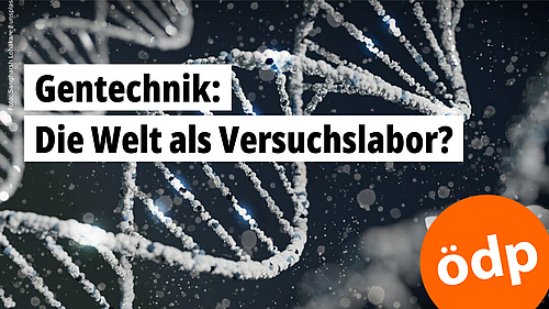 Eine DNA-Doppelhelix durch das Elektronenmikroskop betrachtet