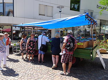 Traktoranhänger mit Sonnenschutz beim Flohmarkt Traktoranhänger mit Sonnenschutz beim Flohmarkt