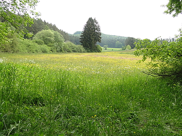 Foto: Ludwig Hager